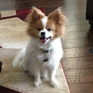 Meet your Posher, Frances